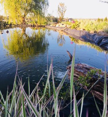 Proszkow Apartment | Apartament u Beti