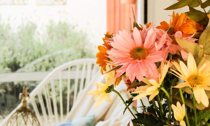 Villa Elisa Apartment | Apartamento Duplex del Botanico