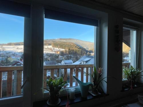 Horni Marsov Apartment | Apartmán Čížci Horní Maršov