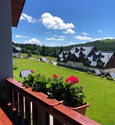 Vitkovice Apartment | Apartmán Horní Mísečky F11 - Horský svět