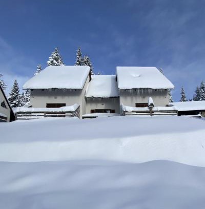 Zrece Apartment | Apartma Idila