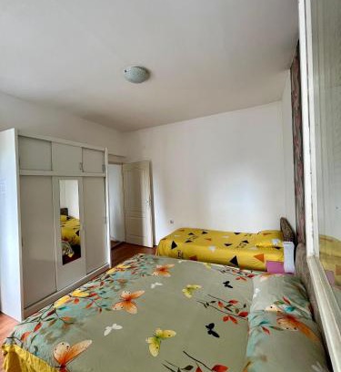 Pirot Apartment | apartman centar S