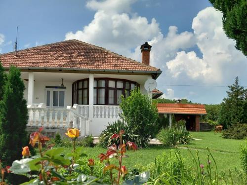 Kursumlija Apartment | Apartmani Ćosić