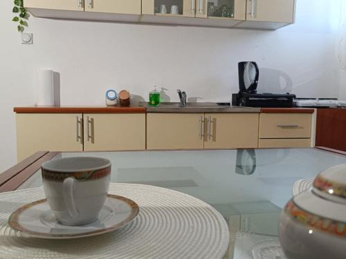 Slavonski Brod Apartment | Apartmani Tea i Toni - Apartment Tea