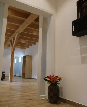 Menslage Apartment | Apartment 1901