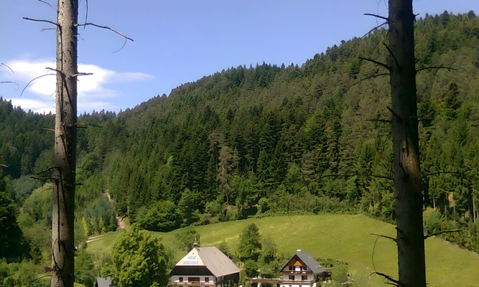 Hornberg Apartment | Apartment '80 sqm' with Mountain View, Private Terrace and Wi-Fi