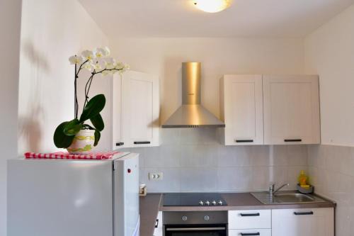 Kosinozici Apartment | Apartment Banko