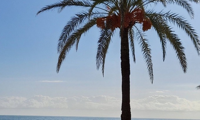 San Jorge Apartment | Apartment 'Bonito Duplex Golf and Sea' with Sea View, Wi-Fi and Air Conditioning