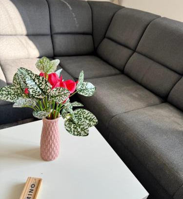 Trnava Apartment | Apartment C25