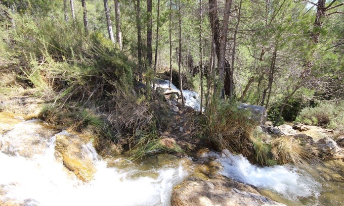 Cuevas del Campo Apartment | Apartment Cueva Luna Azul