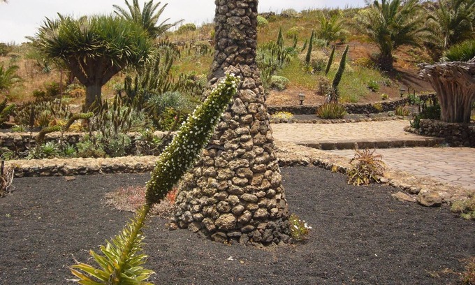 Mocanal House | Apartment El Peral in 'Casa Rural Los Perales' with Sea Views, Shared Terrace and Wi-Fi