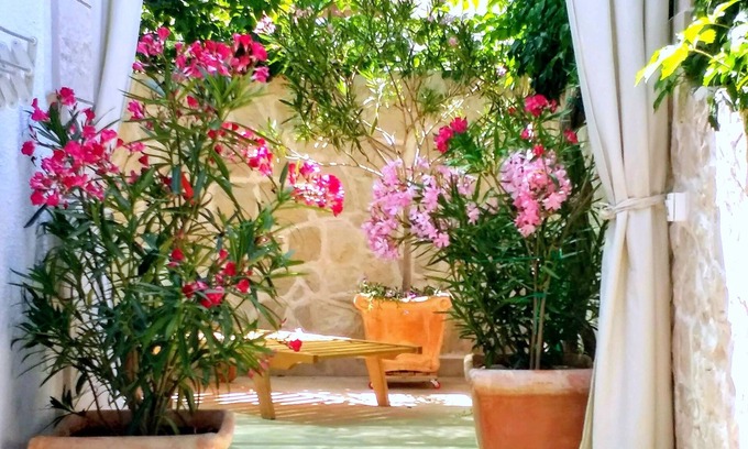 Povlja Apartment | Apartment Ennio (103061-A4) - Povlja - island Brac