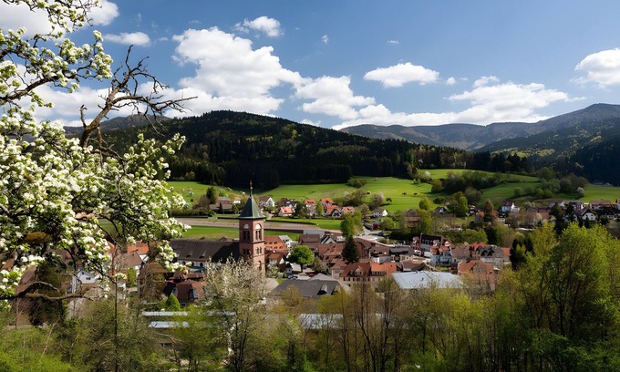 Elzach Apartment | Apartment 'Fewo Blumenweg' with Private Terrace and Wi-Fi