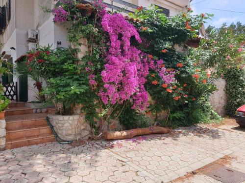 Artatore Apartment | Apartment for max 7 pers in Mali Losinj with terrace, air conditioning, WiFi, washing machine 4913-3