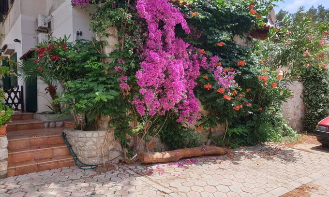 Artatore Apartment | Apartment in Mali Lošinj with Terrace, Air condition, WIFI, Washing machine (4913-3)