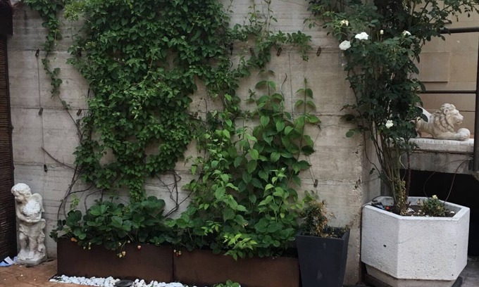 Ezcaray Apartment | APARTMENT WITH GARDEN