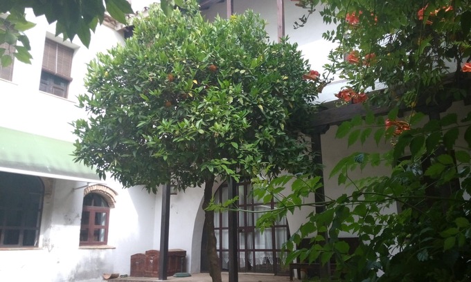 Santa Marina Apartment | APARTMENT WITH TERRACE-SOLARIUM AND OWN PATIO, PATIO DEL LIMONERO