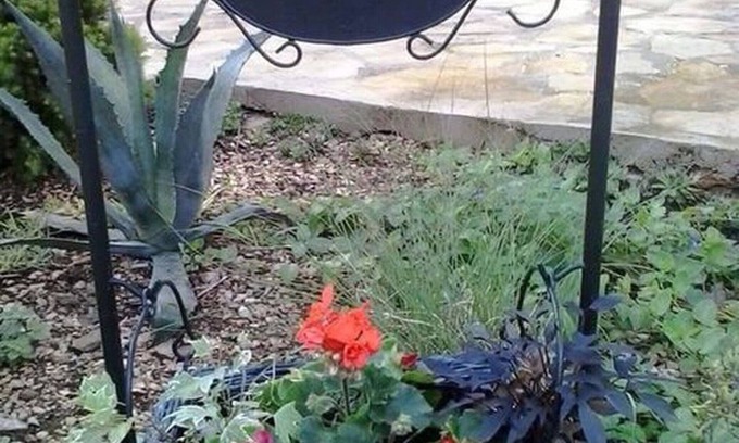 Gornji Karin Apartment | Apartments Štrbić - One Bedroom - Karlo