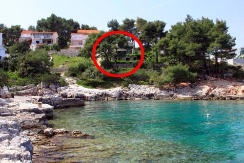 Cove Basina (Jelsa) Apartment | Apartments by the sea Basina, Hvar - 542