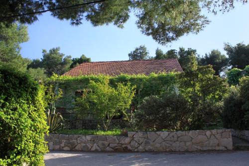 Cove Basina (Jelsa) Apartment | Apartments by the sea Mudri Dolac, Hvar - 118