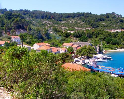 Polace Apartment | Apartments Nodilo