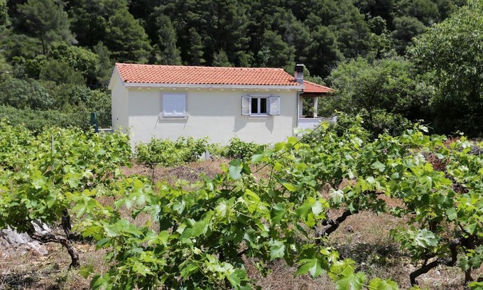 Trstenik Apartment | Apartments with parking space Trstenik, Peljesac - 10109