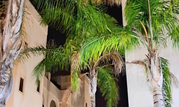 Castromediano Apartment | Appartamento in città,dotato di tutti i comfort,creato con stile,luminoso,pulito