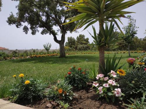 Carbonia Apartment | Appartamento Sulcis Sardegna