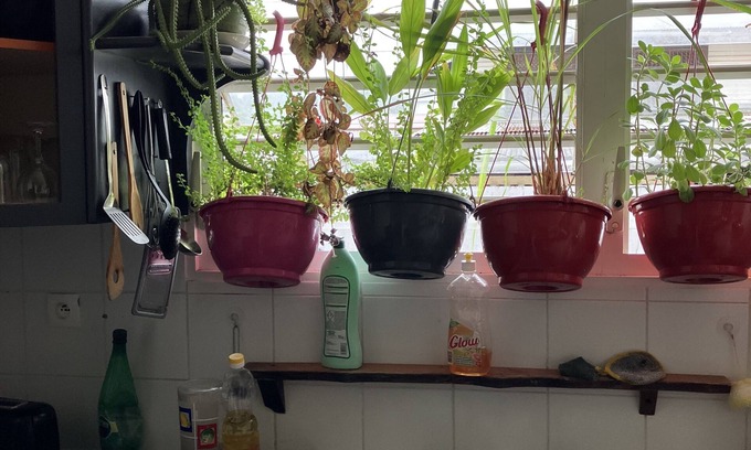 Cayenne Apartment | Appartement à Cayenne au Calme à 2,5 Kilomètres du Centre de la Ville