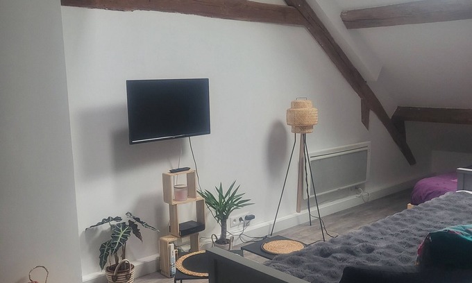 Coignieres Apartment | Appartement Plein de Charme