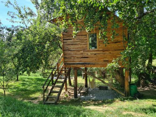 Valea Mare-Pravat Other | Apple Tree Cabin (Friendship Land)