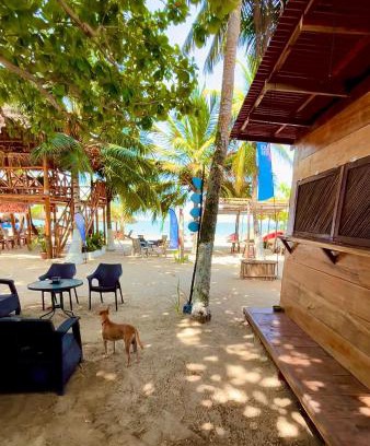Rincon Bed & Breakfast | Aquarius Diving Club y Cabañas
