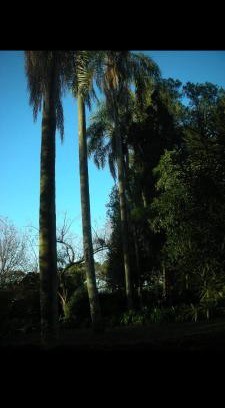 Puerto Leoni House | Arami Lodge