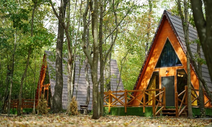 Contesti House | Artarica