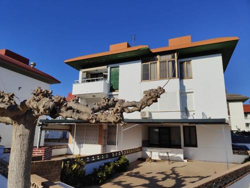 L'Eucaliptus Apartment | Arte y natura en la playa de Eucaliptus