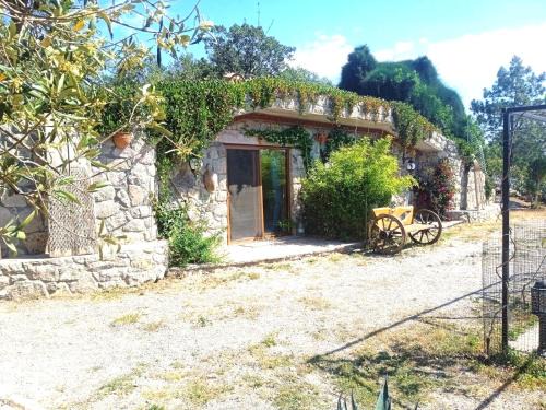 Ayvacik Apartment | Assos Sivrice Deveboyun Konukevi