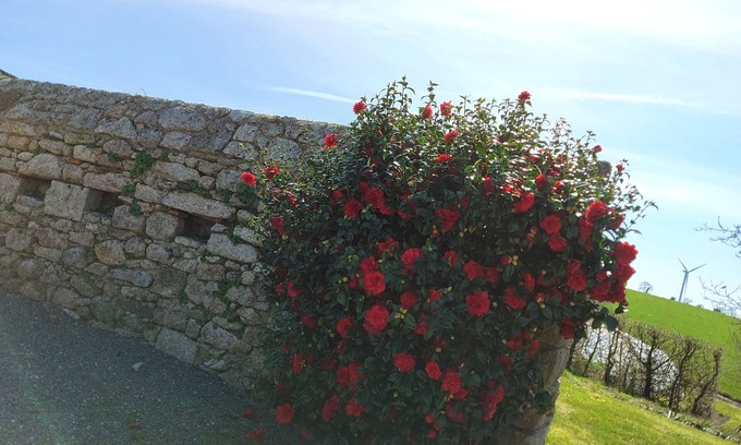 Mauleon House | At the "commanderie" 15 mm from Puy du Fou