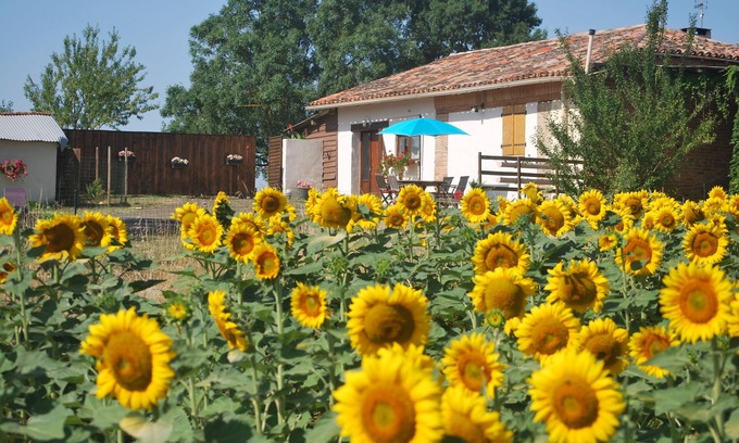 Le Cause House | At the gateway to the Gers, Eden Farm's air-conditioned gîte