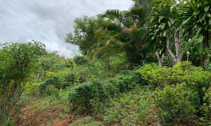 Khao Kho Hotel | At Trin Khao Kho