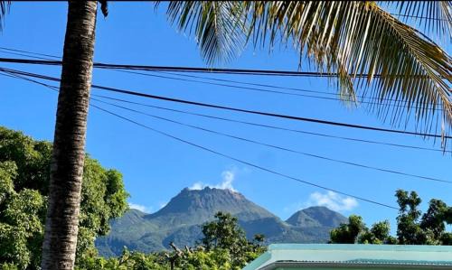 Saint-Claude Apartment | Au pied de la Soufrière