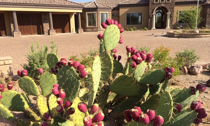 Apache Junction House | AUTHENTIC SANTA FE TUSCAN-STYLE VILLA WITH PANORAMIC VIEWS.
