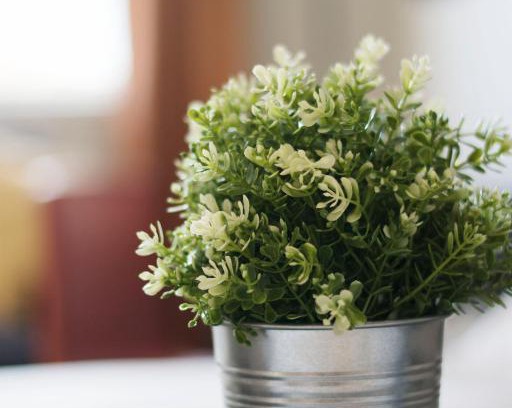 Forssa Hotel | Autokeidas Forssa Motelli