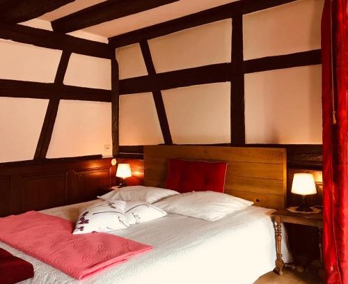 Ammerschwihr Apartment | AUX DEUX CIGOGNES AMMERSCHWIHR