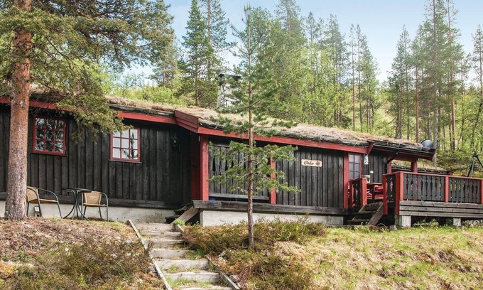 Akrestrømmen House | Awesome home in Rendalen with kitchen