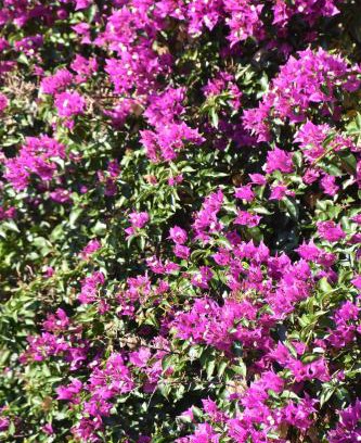 Santa Severina House | Azienda Agrituristica Biologica Il Querceto