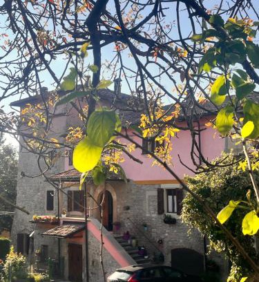 Camugnano Apartment | B&B Camelia