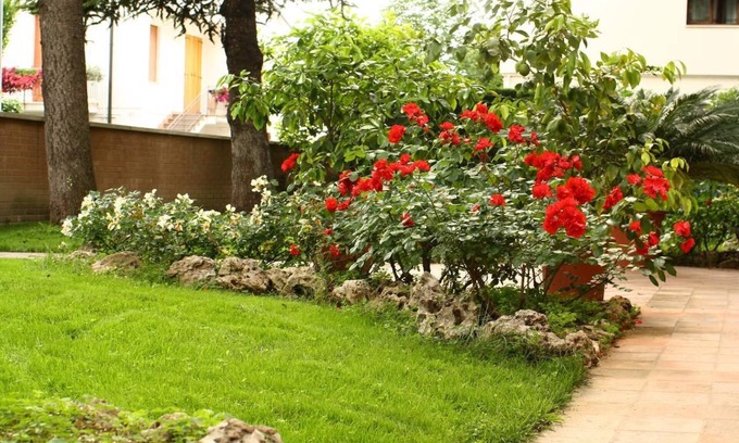 San Faustino-Madonnina-Quattroville Bed & Breakfast | B&B Igea 50