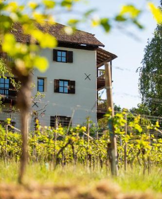 Castelvecchio Alto Bed & Breakfast | B&B Unterhabsbergerhof