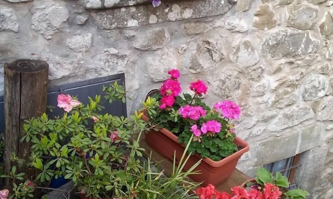 Casoli Bed & Breakfast | B&B La Margine con area benessere