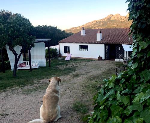 Aggius Bed & Breakfast | B&B La Tasgia